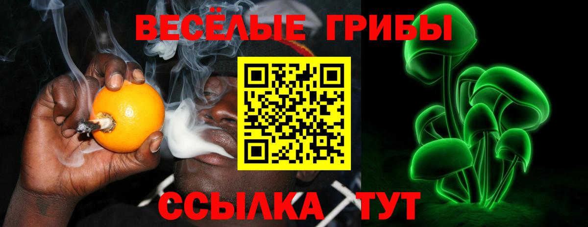 Новотроицк  Псилоцибиновые грибы мицелий  Вход с VPN 